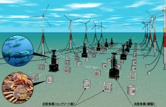 洋上風力発電等の漁業協調の在り方に関する提言研究